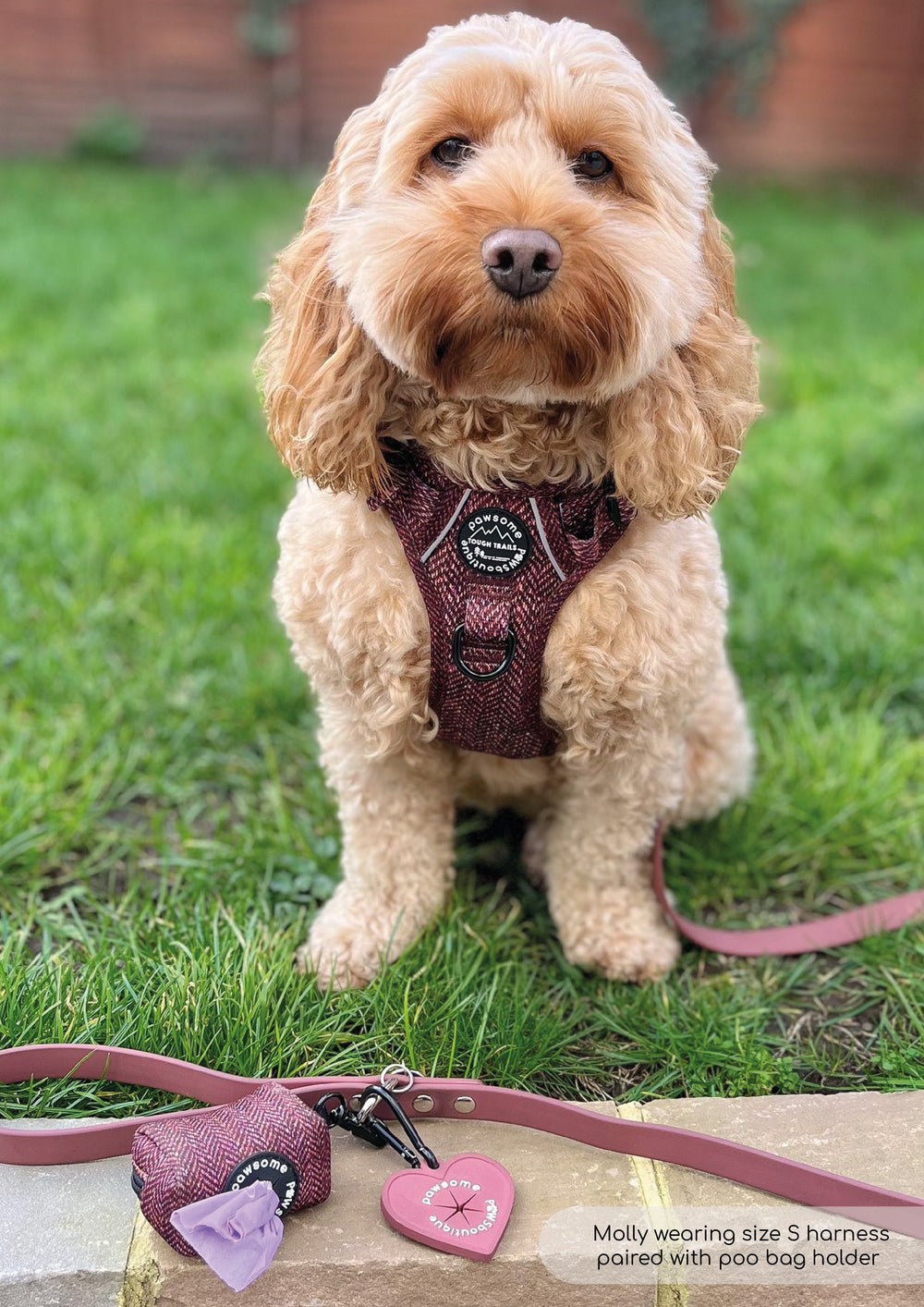 Poo Bag Holder - Country Burgundy