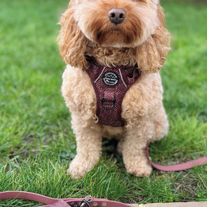 Poo Bag Holder - Country Burgundy