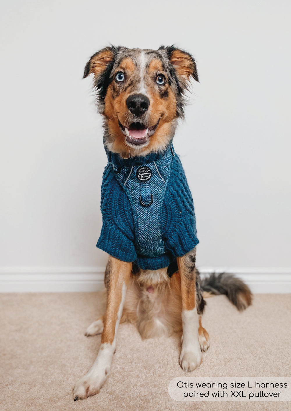 Tough Trails™ Harness - Country Teal