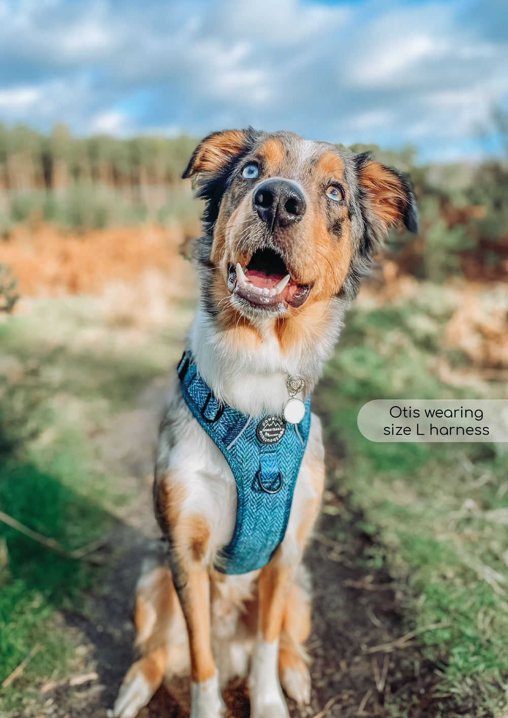 Tough Trails™ Harness - Country Teal