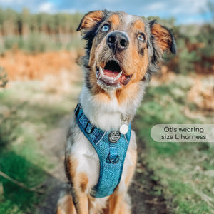 Tough Trails™ Harness - Country Teal