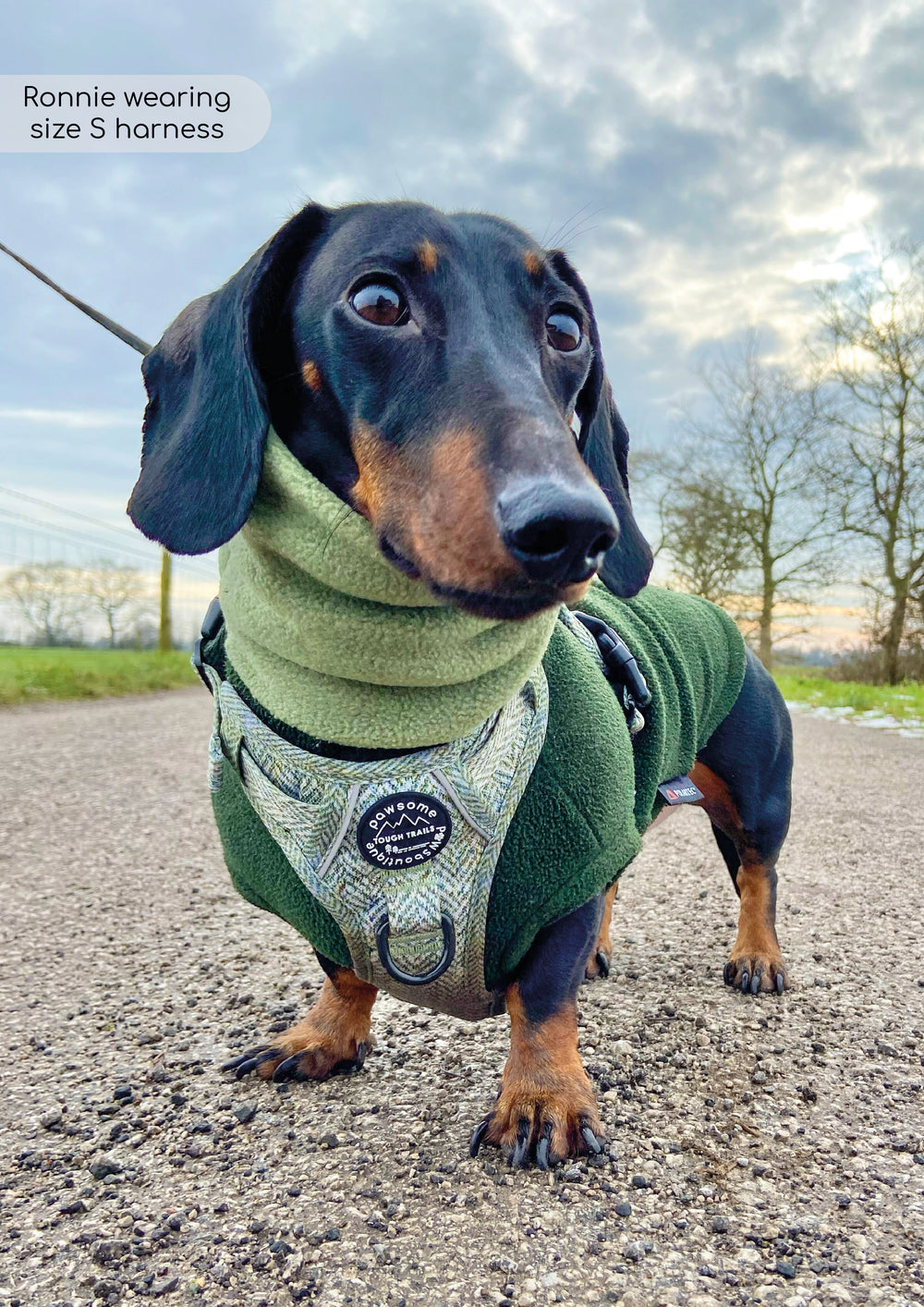 Tough Trails™ Harness - Country Thyme