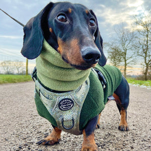 Tough Trails™ Harness - Country Thyme