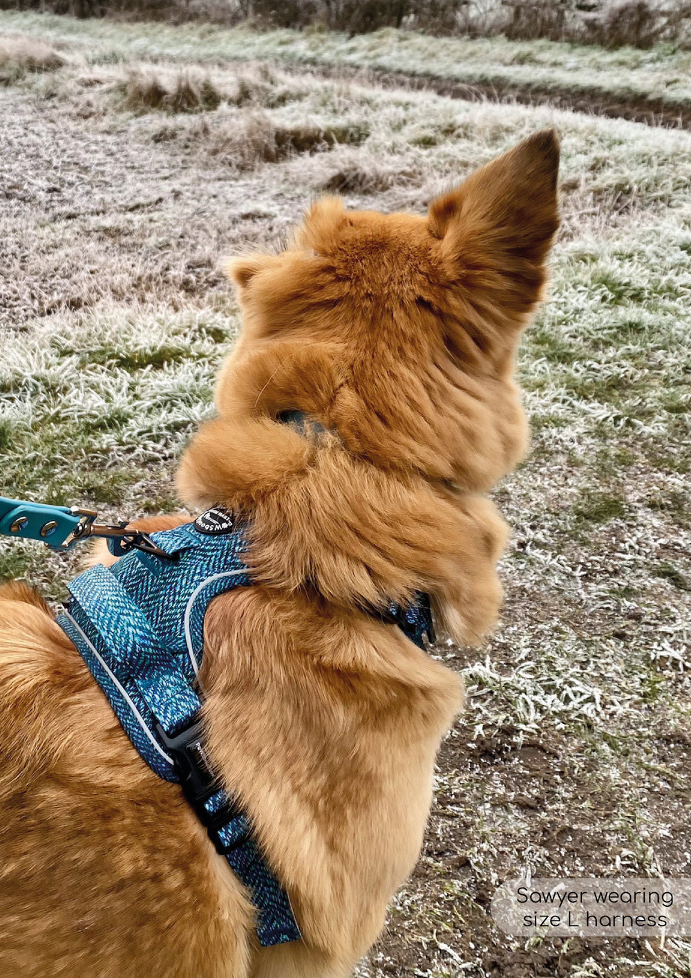 Tough Trails™ Harness - Country Teal