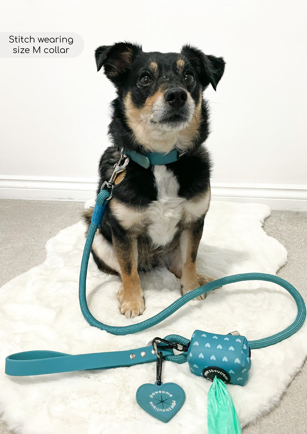 4ft Rope Lead - Teal