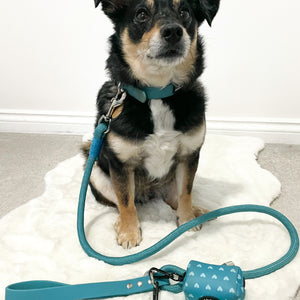 4ft Rope Lead - Teal