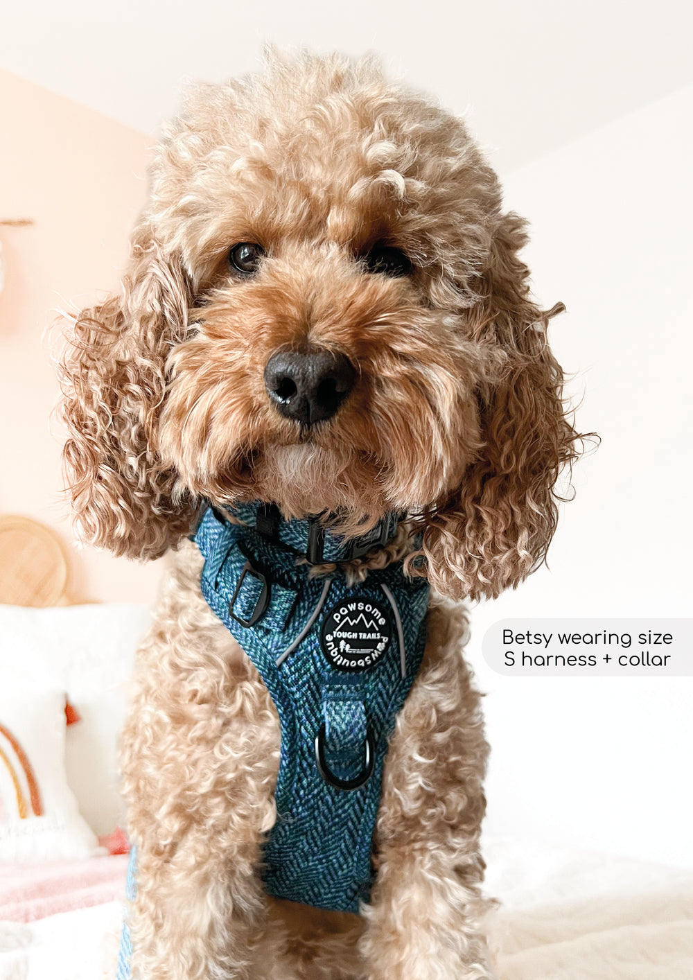 Tough Trails™ Harness - Country Teal