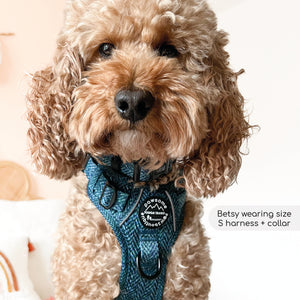 Tough Trails™ Harness - Country Teal