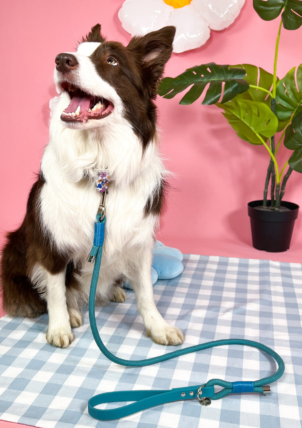 4ft Rope Lead - Teal