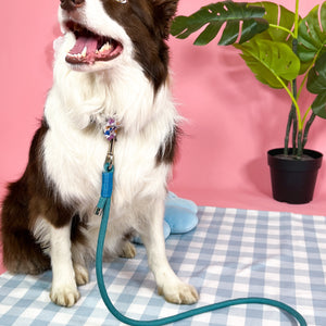 4ft Rope Lead - Teal