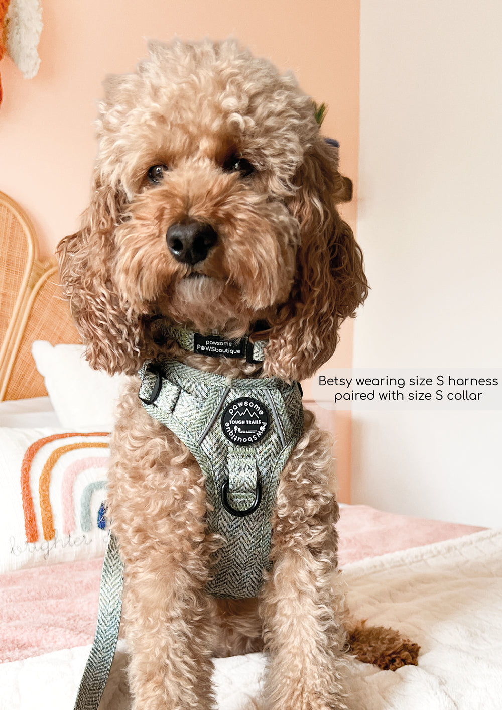 Collar - Country Thyme