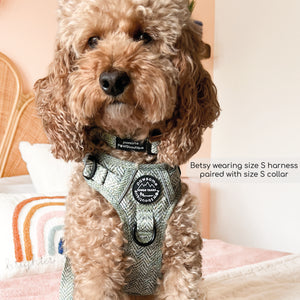 Collar - Country Thyme