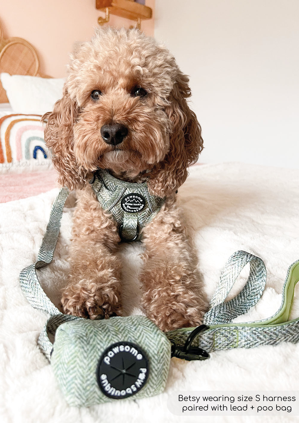 Poo Bag Holder - Country Thyme