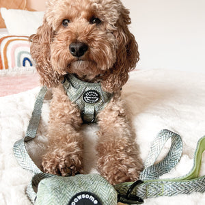 Poo Bag Holder - Country Thyme