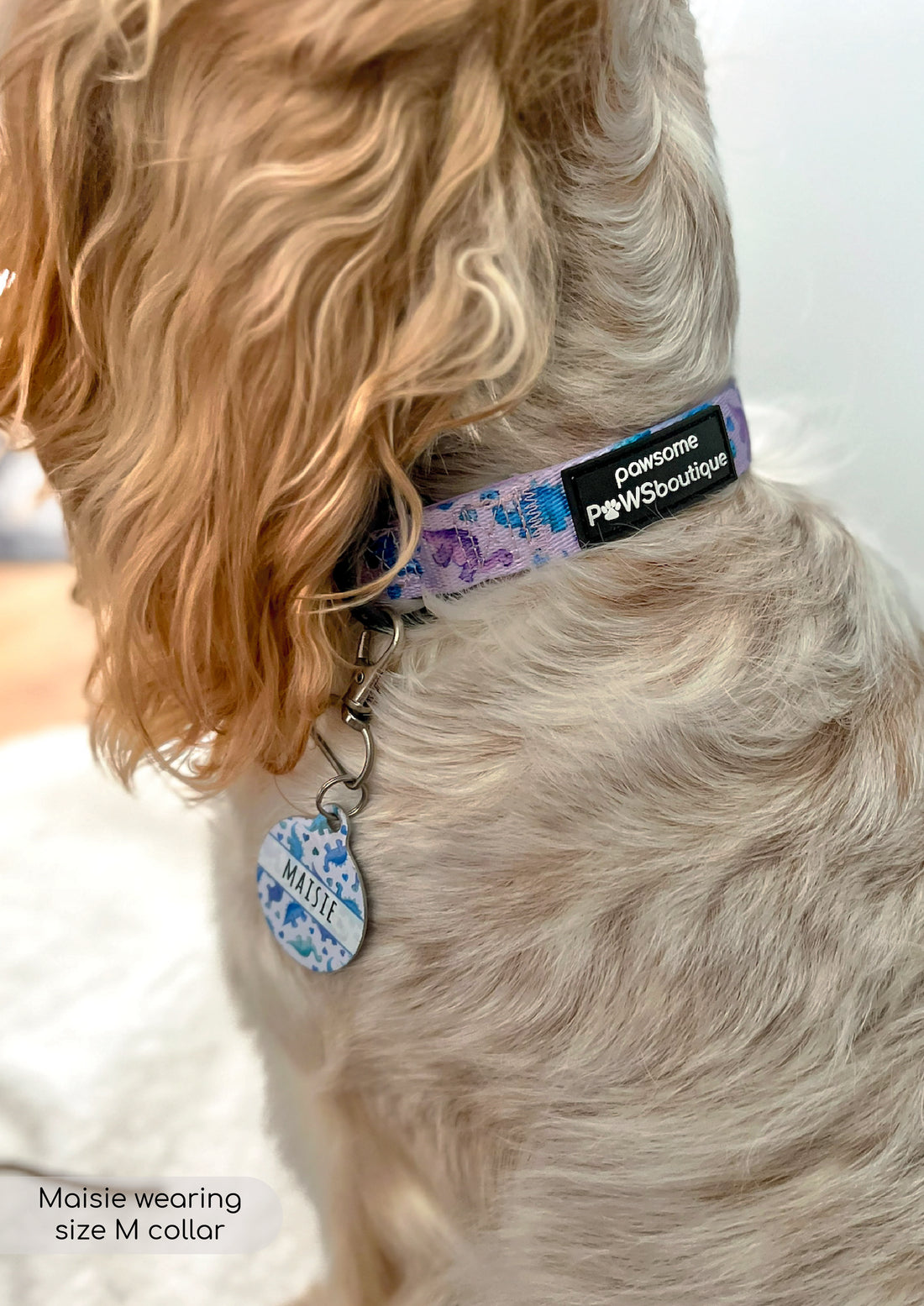 Collar - Tiny Diny