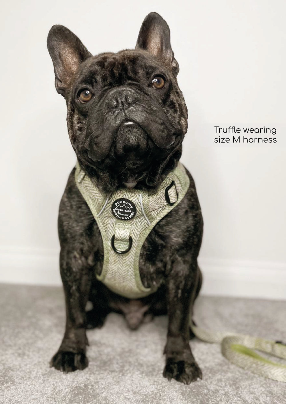 Tough Trails™ Harness - Country Thyme