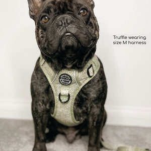 Tough Trails™ Harness - Country Thyme