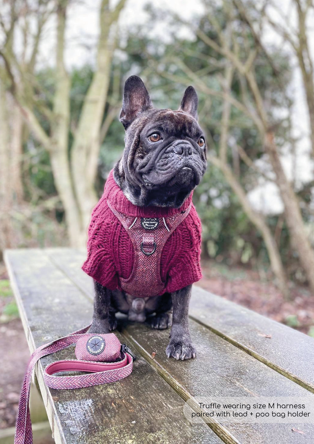 Poo Bag Holder - Country Burgundy
