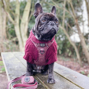 Poo Bag Holder - Country Burgundy