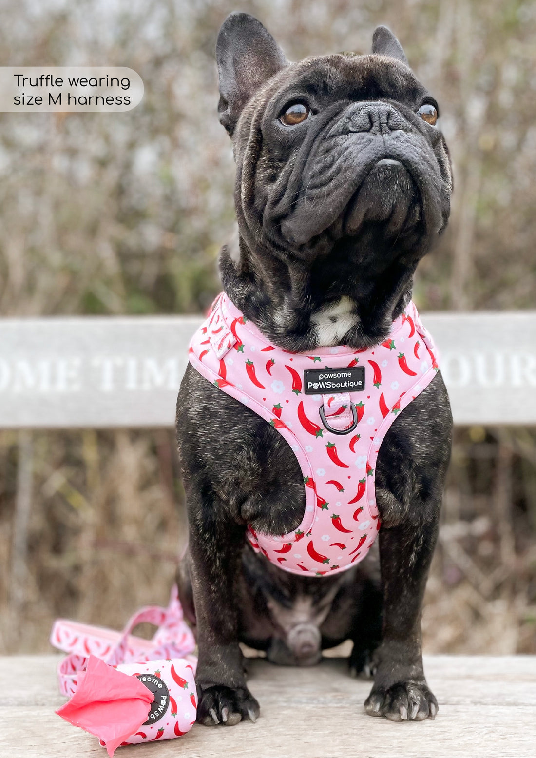 Poo Bag Holder - Chilli Dog