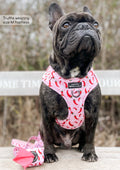 Poo Bag Holder - Chilli Dog